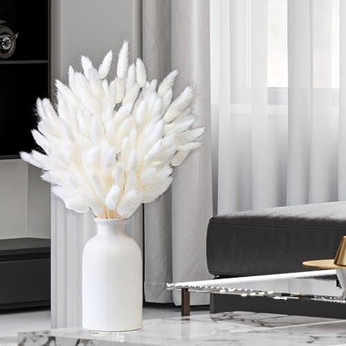 150 Stems Dried Bunny Tail Grass with Box Natural & Fluffy | Boho Decor - Rabbit Tail Grass Dried Pampas Grass Decor Flower Arrangements Wedding Home Kitchen Office Decor