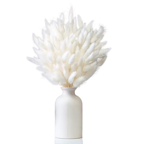 150 Stems Dried Bunny Tail Grass with Box Natural & Fluffy | Boho Decor - Rabbit Tail Grass Dried Pampas Grass Decor Flower Arrangements Wedding Home Kitchen Office Decor