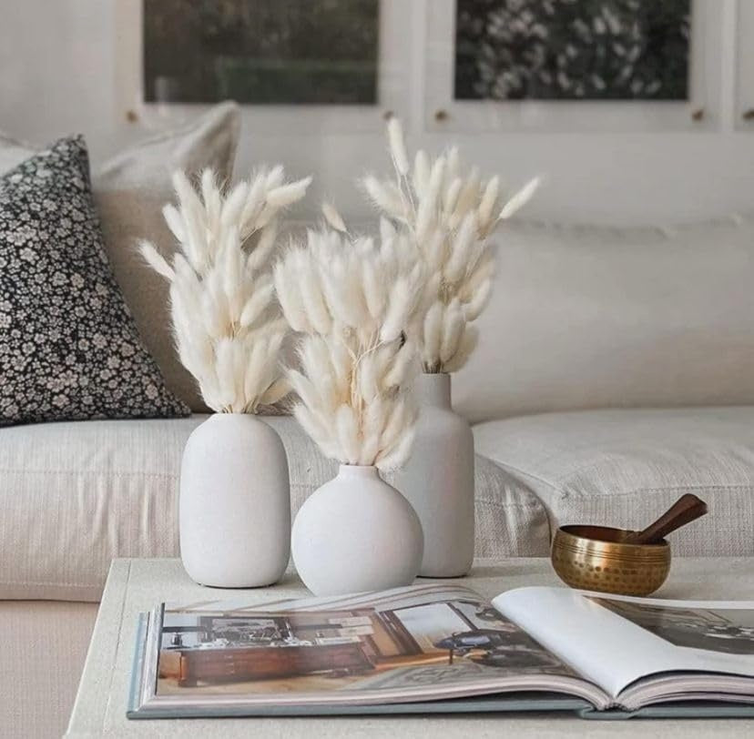 150 Stems Dried Bunny Tail Grass with Box Natural & Fluffy | Boho Decor - Rabbit Tail Grass Dried Pampas Grass Decor Flower Arrangements Wedding Home Kitchen Office Decor