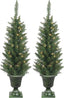 Set of 2 Lighted Pre-Potted 3.5 Foot Artificial Norway Pine Topiary Outdoor Indoor Trees - Set of 2 - Battery Operated with Timers