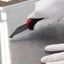 ALLWAY PSK Plastic Sheet Cutter with Ergonomic Handle (blue handle)